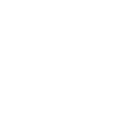 dl services logo upscaled white